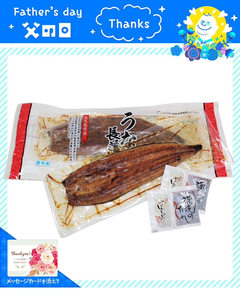 【父の日】 鹿児島県産 うなぎ長蒲焼セット 91020 TMDS10099 25FDS 送料込み