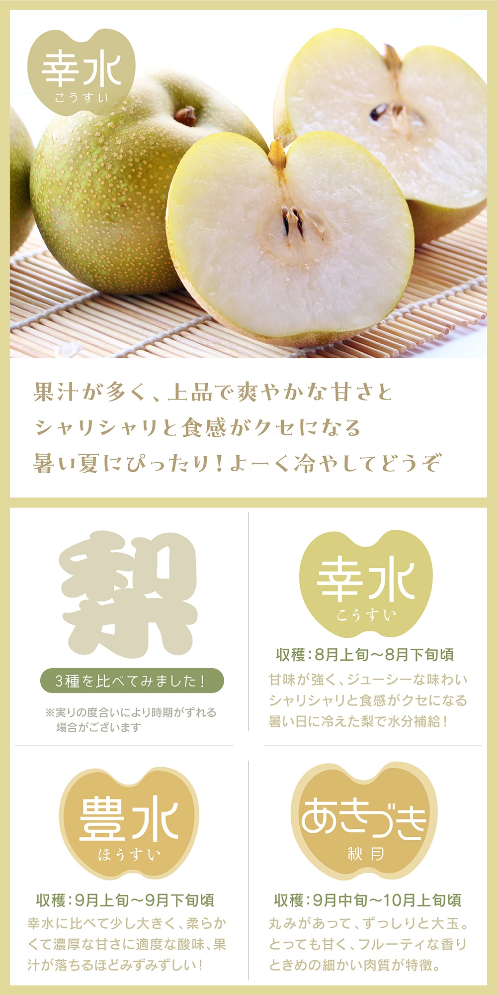 幸水 梨ギフト 5kg 千葉県白井産