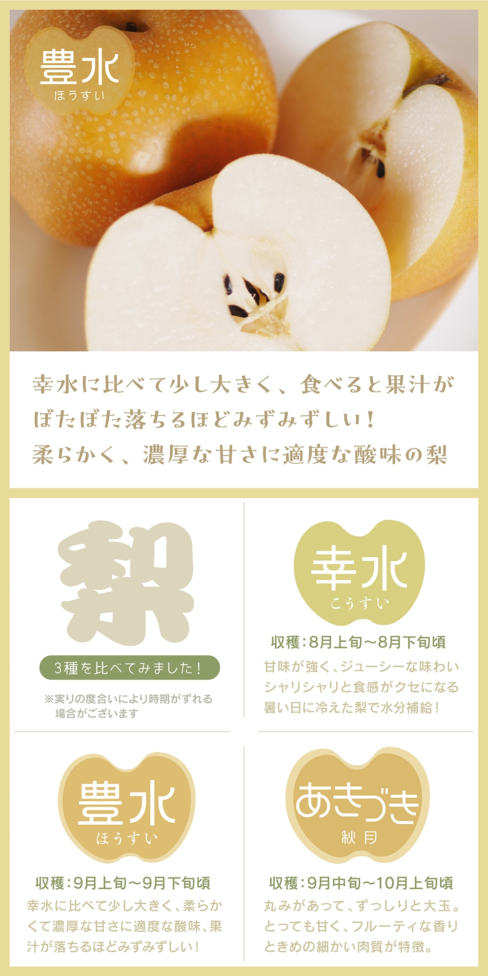 豊水 梨ギフト 5kg 千葉県白井産