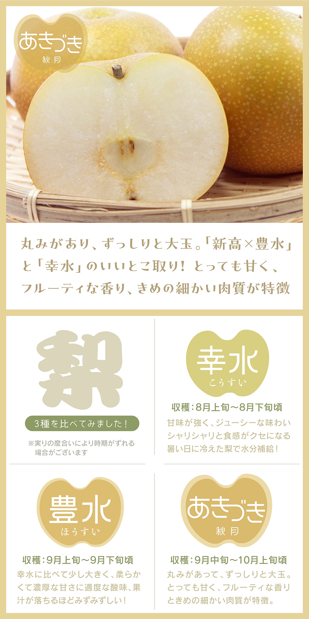 あきづき 梨ギフト 5kg 千葉県白井産