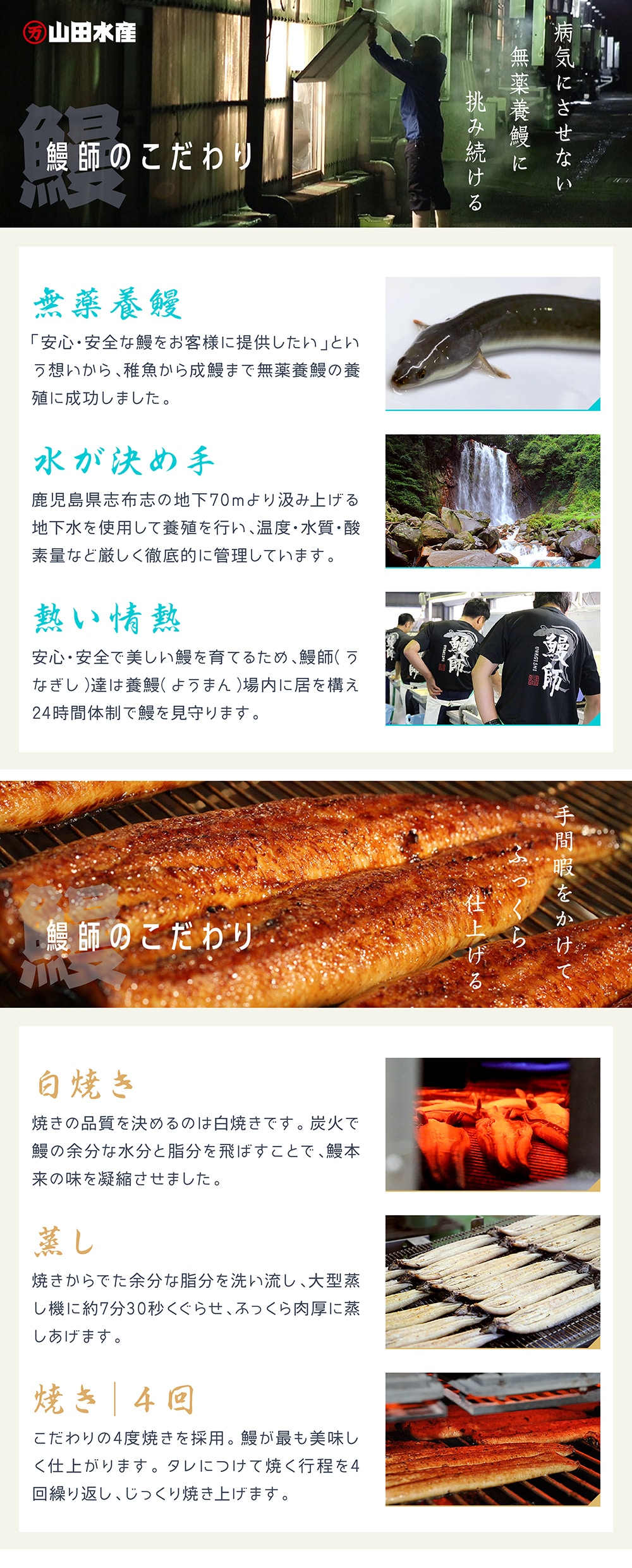 鹿児島産 うなぎ長焼き 養殖 1尾 約140g