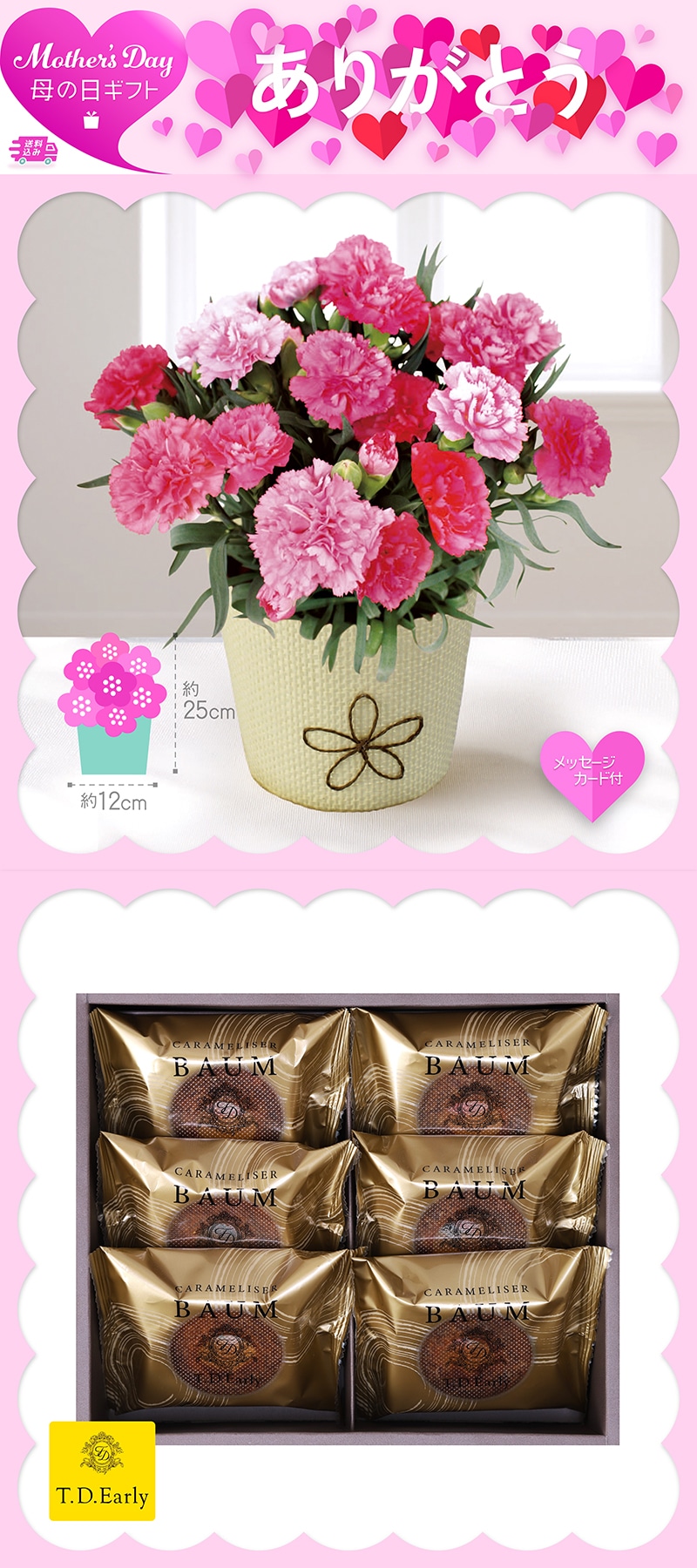 母の日 カーネーション ホットハートとT.D.Early キャラメリゼバウム 81003 TMDS10113 26MDS 送料込み