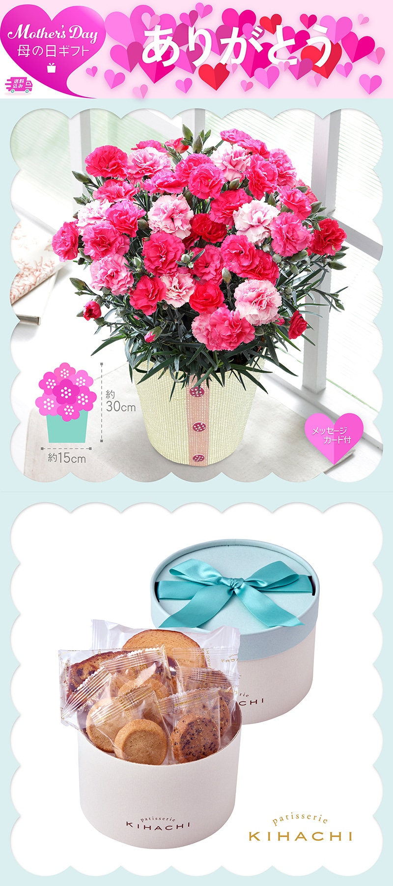 母の日 カーネーション 《さくらもなか》と「パティスリー キハチ」アソートBOX 81007 TMDS10117 26MDS 送料込み