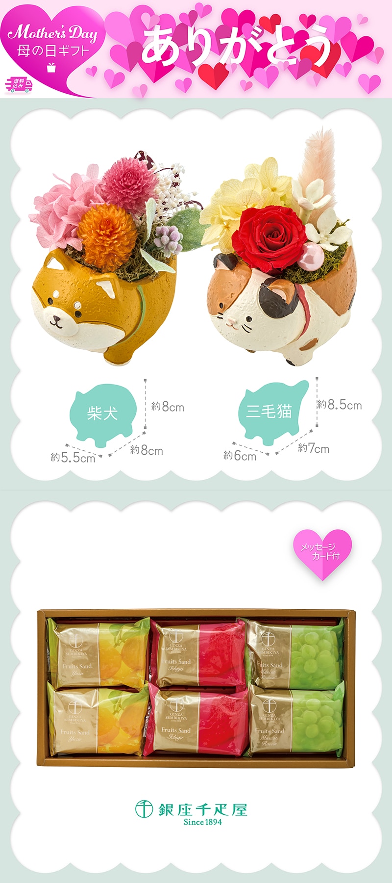 母の日 アニマルプリザと「銀座千疋屋」銀座フルーツサンド 81010 TMDS10120 26MDS 送料込み