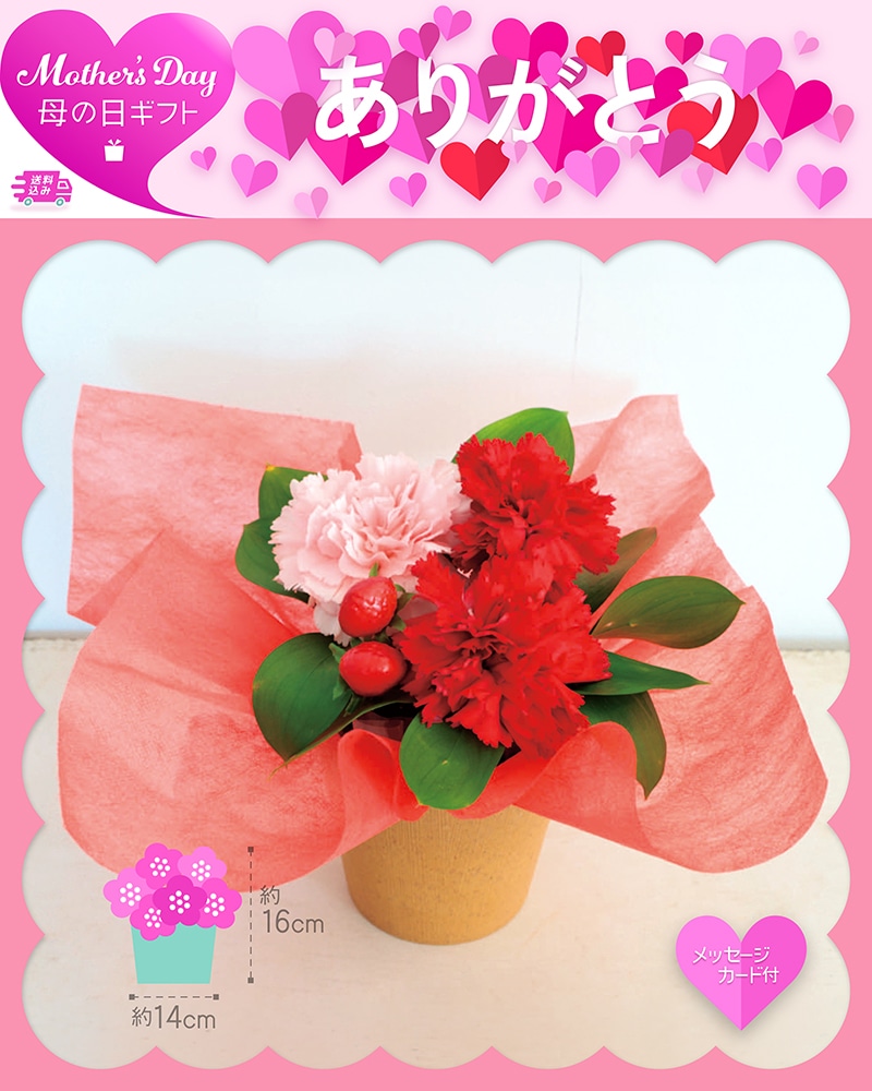 母の日 アレンジメント イチゴミルク 81028 TMDS10138 26MDS 送料込み