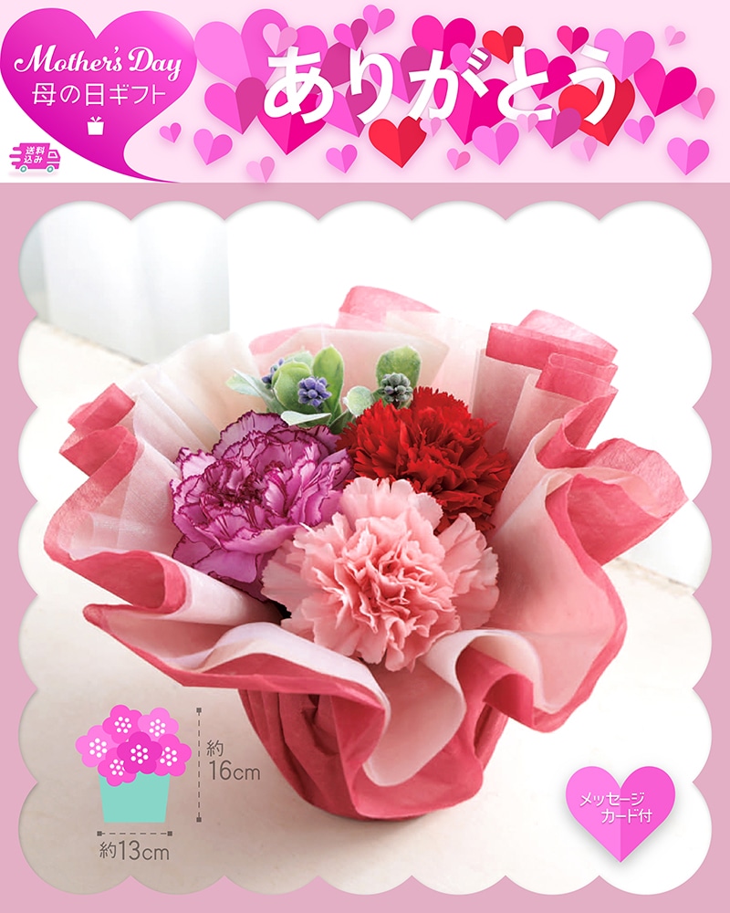 母の日 アレンジメント ふわふわアレンジ 81029 TMDS10139 26MDS 送料込み