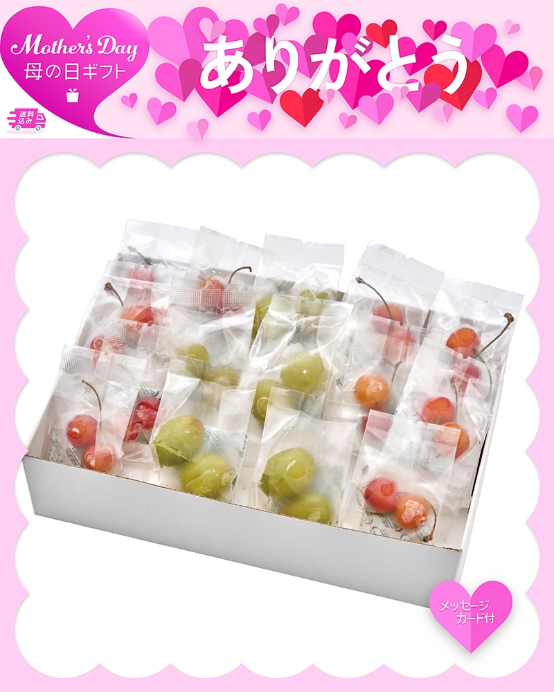 母の日 山形県産 冷凍さくらんぼ 佐藤錦＆冷凍シャインマスカット 81038 TMDS10148 26MDS 送料込み