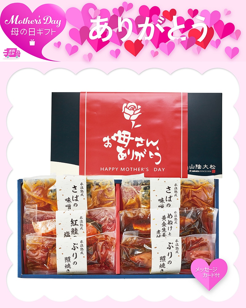 母の日 氷温熟成 煮魚・焼魚ギフト 81055 TMDS10165 26MDS 送料込み