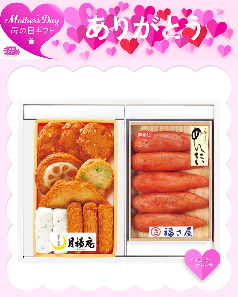 母の日 「月揚庵」さつまあげ・「福さ屋」辛子めんたいこセット 81063 TMDS10173 26MDS 送料込み