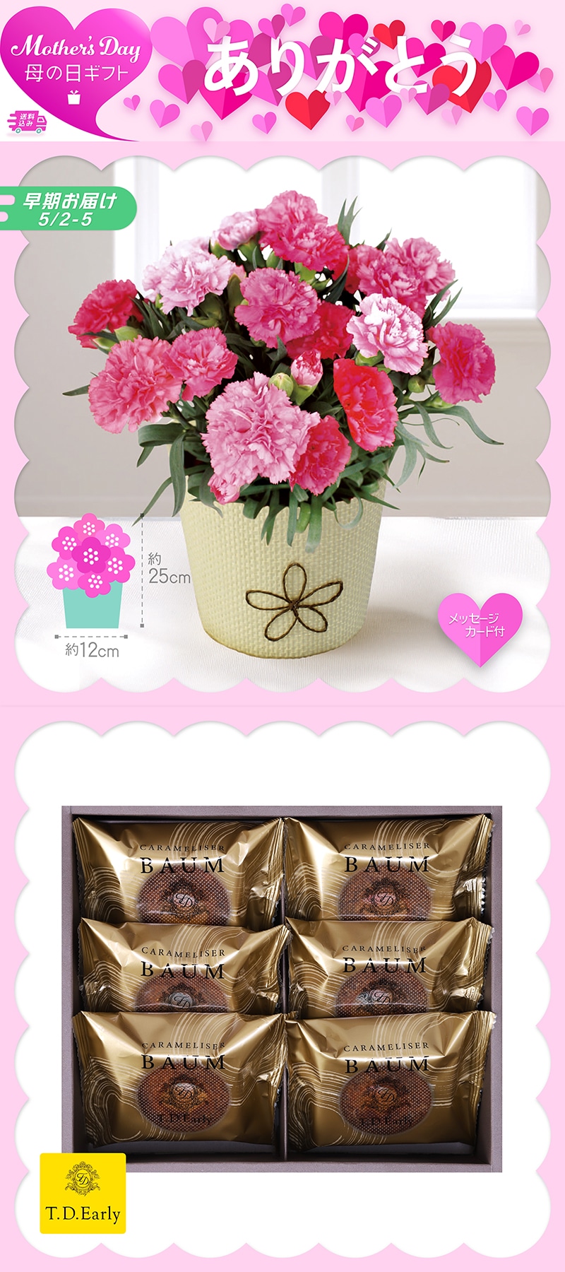 【早期お届け】 母の日 カーネーション ホットハートとT.D.Early キャラメリゼバウム 71003 TMDS10109 26MDS 送料込み