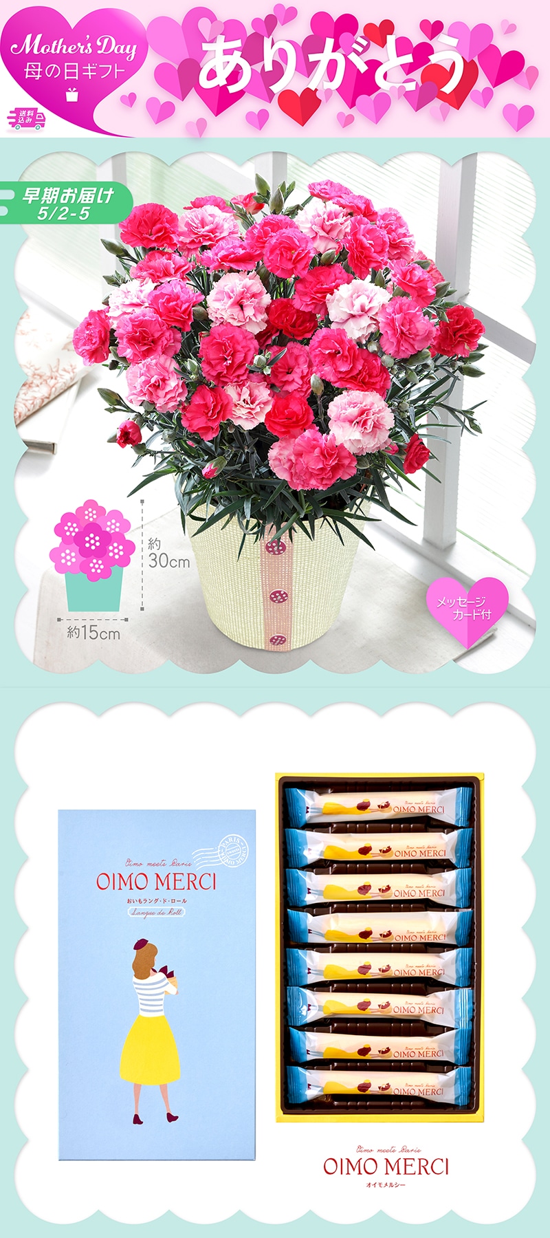 【早期お届け】 母の日 カーネーション 《さくらもなか》とOIMO MERCI ラングドロール 71004 TMDS10110 26MDS 送料込み