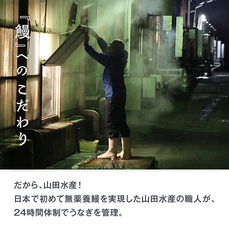 鹿児島産 うなぎ長焼 養殖 1尾 約140g