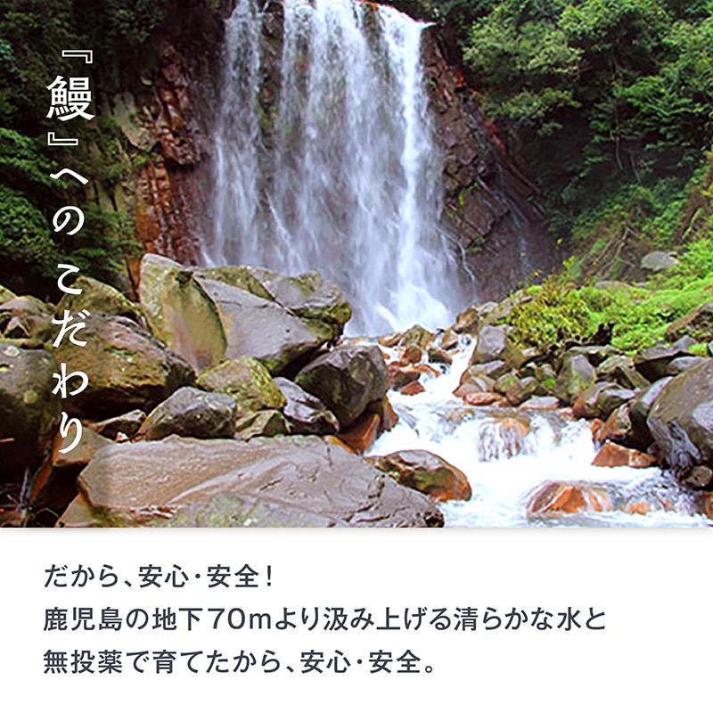 鹿児島産 うなぎ長焼 養殖 1尾 約140g