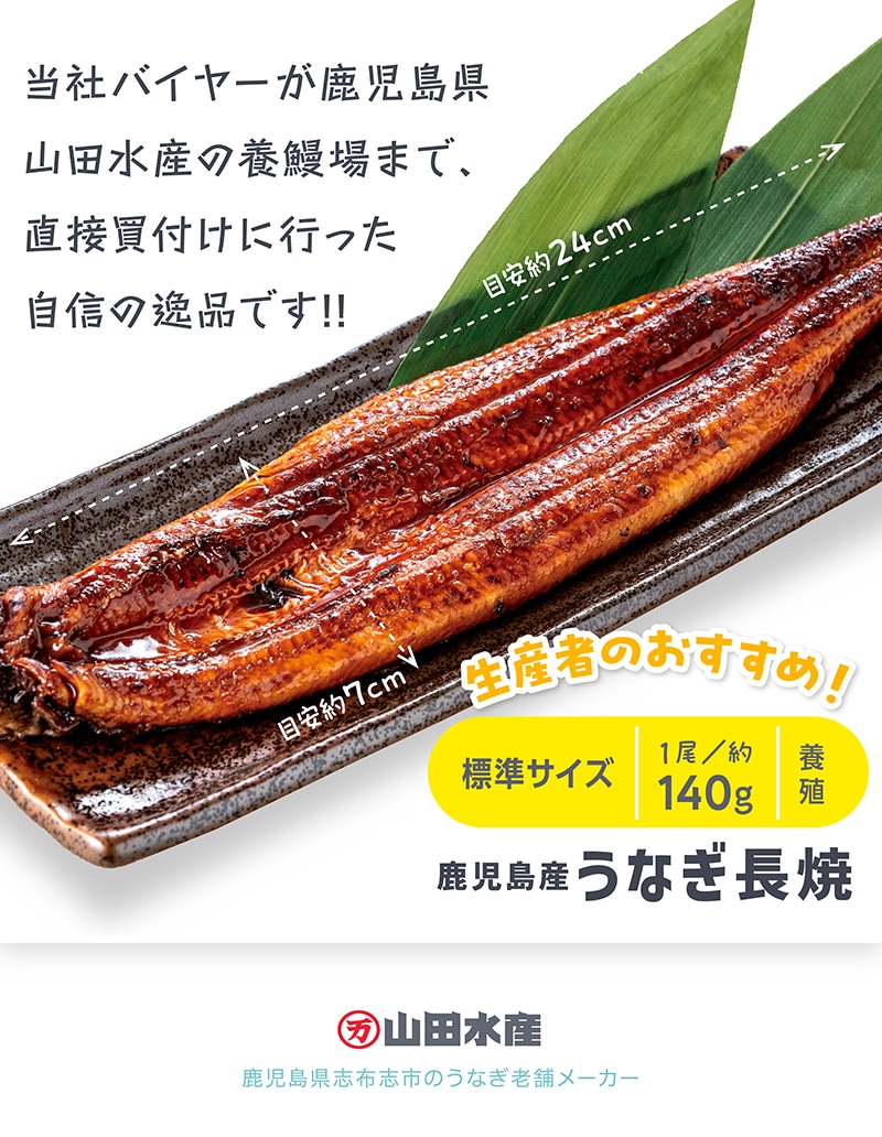 鹿児島産 うなぎ長焼 養殖 1尾 約140g