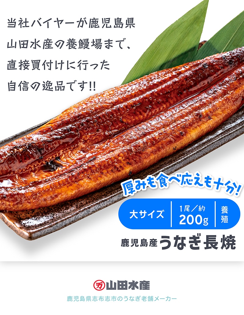 鹿児島産 うなぎ長焼 養殖 大 1尾 約200g